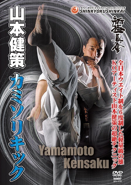 【DVD】新極真会 山本健策　カミソリキック