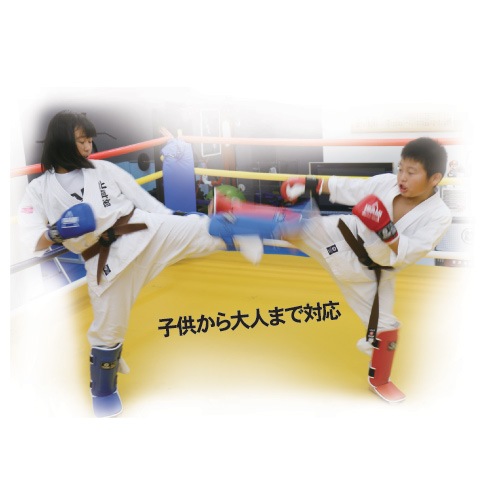 FS-11 シンガードTS