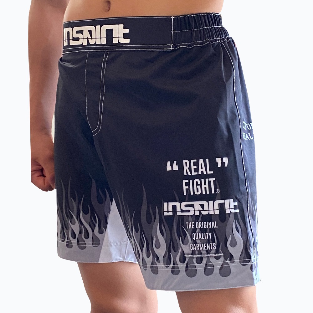 inspirit プロト　ファイヤー