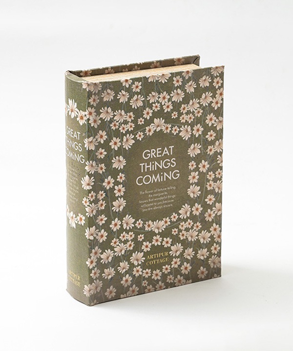 ブックボックスL（グリーン） M43-2765L