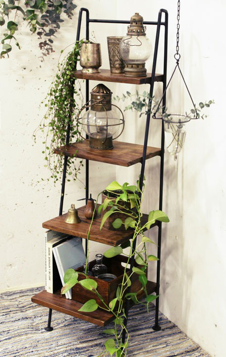 アカシアラダーラックL  IAPF-302A 【送料D】 ★【2月下旬頃入荷予定】