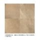 ������פζ��奵���å��� �١����� / T24016 Beige