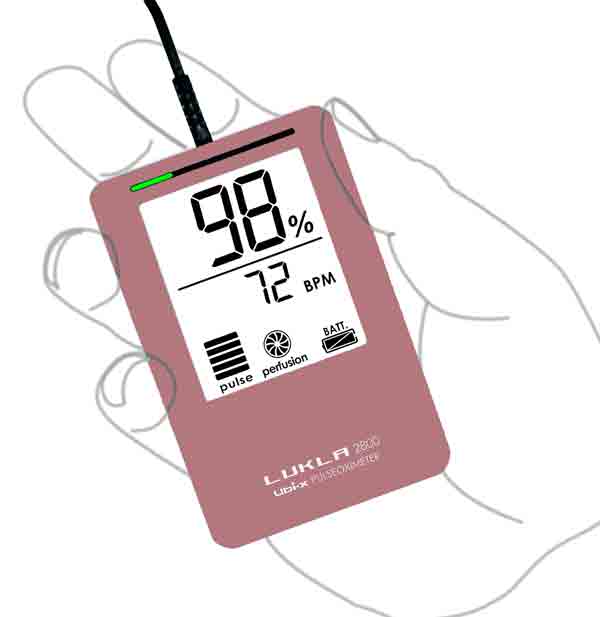 LUKLA2800��/PK���륯������Ļ��������ѥե��󥬡�����åץץ������աۡ��ν�5��25kg��