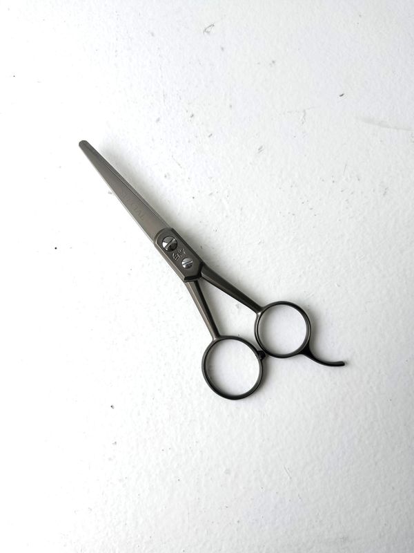 白鳥　SUPER2F　SPECIAL