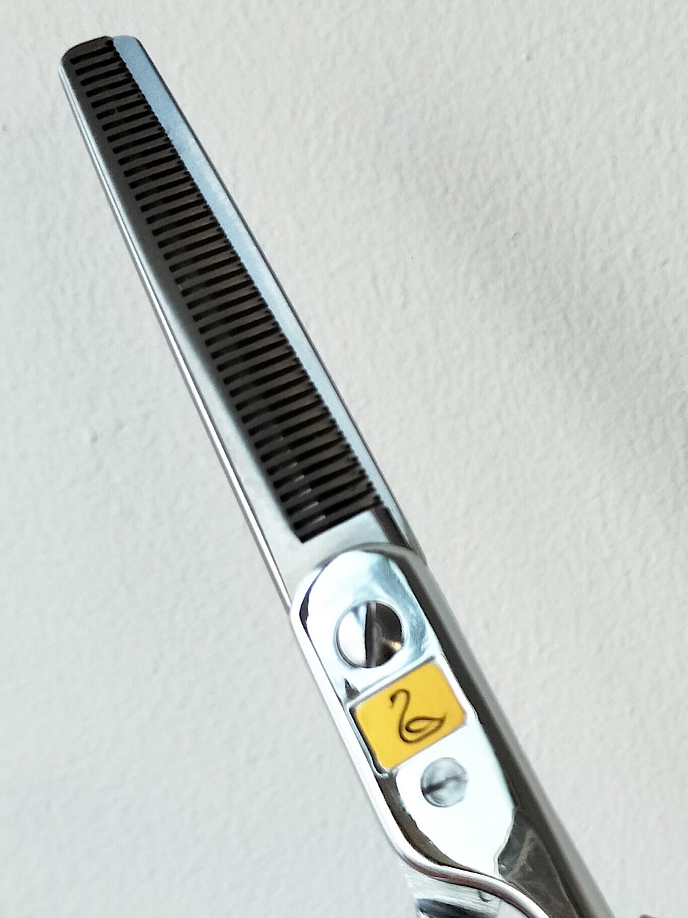 白鳥　SUPER30　40T