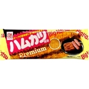 �ץ�ߥ��ࡡ�ϥ५�Ĳ�����