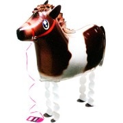 ������ݥˡ�