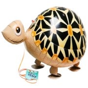 ������ۥ�����