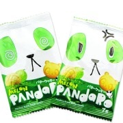 �����Ѥ�������Х������å���