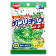 ���֥���奦MiNi������󥽡���̣