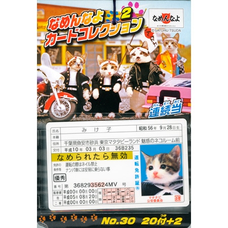 おもちゃ,シール＆カード連続当｜なめんなよカードコレクション当の