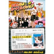 �ʤ��ʤ襫���ɥ��쥯�������