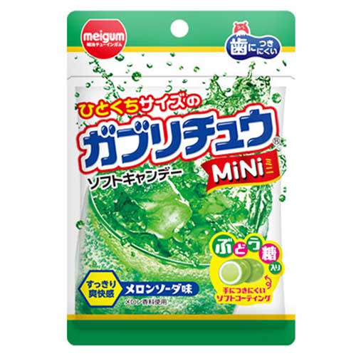 ���֥���奦MiNi������󥽡���̣