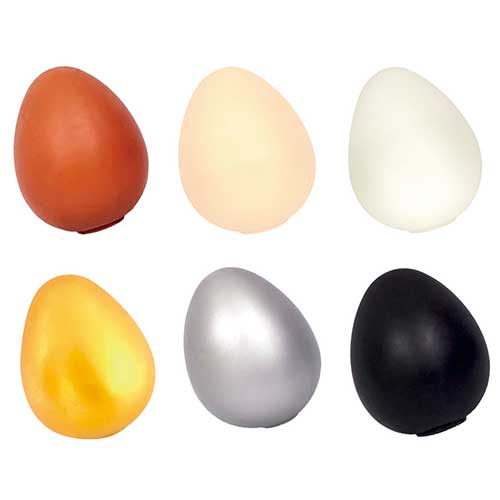 ���������å�