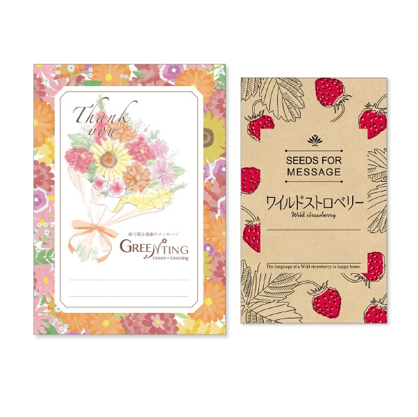 GREENTING ハーブの種子モダン