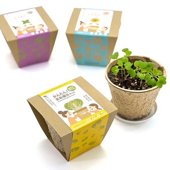 ー親子で育てるーかんたん！家庭園芸キット