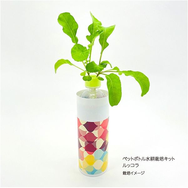 ペットボトル水栽培キット