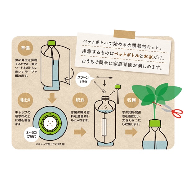 ペットボトル水栽培キット