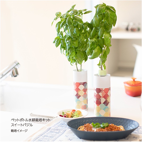 ペットボトル水栽培キット
