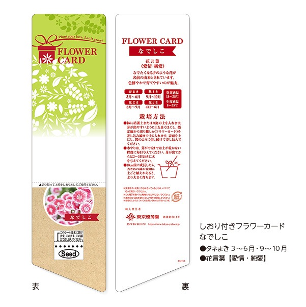 しおり付フラワーカード