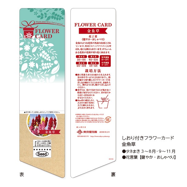しおり付フラワーカード