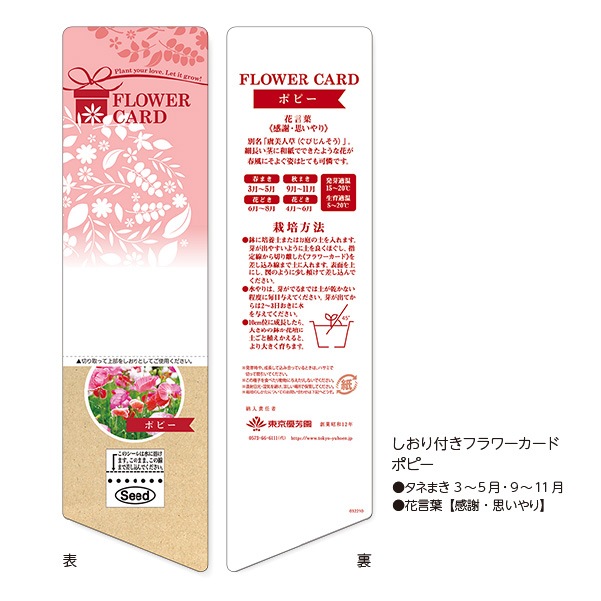 しおり付フラワーカード