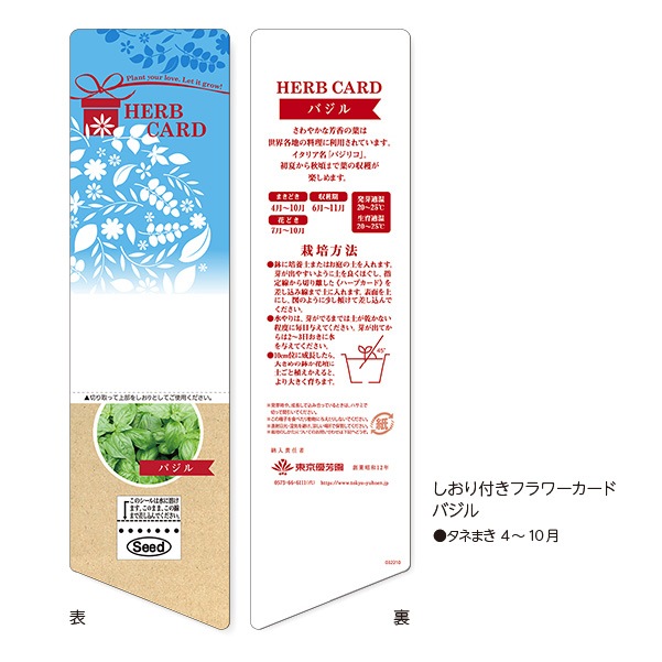 しおり付フラワーカード