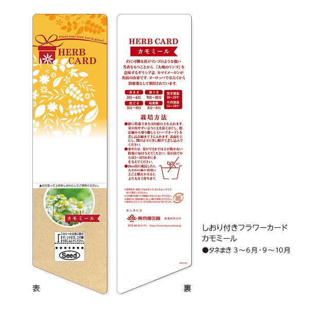 しおり付フラワーカード