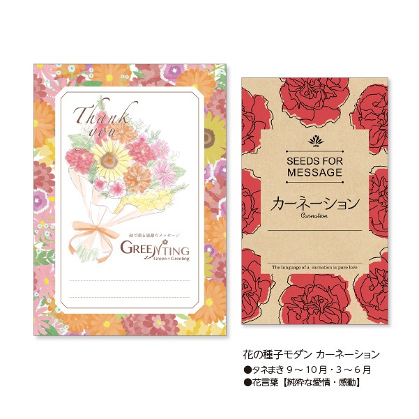 GREENTING 花の種子モダン