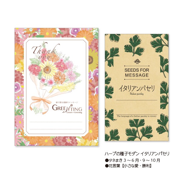 GREENTING ハーブの種子モダン