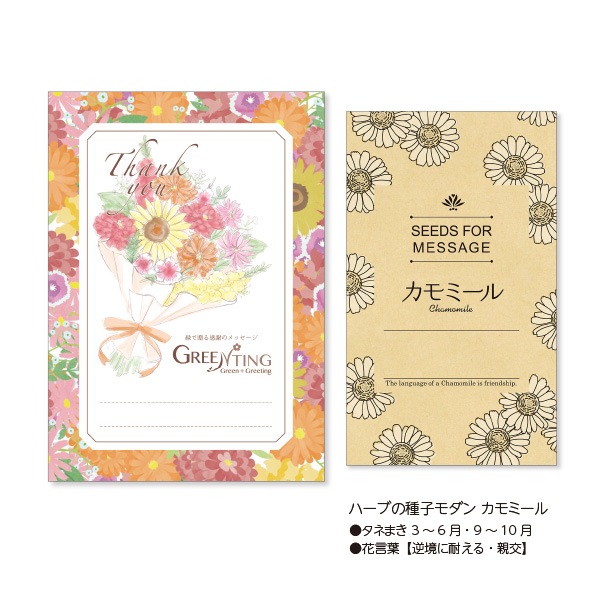 GREENTING ハーブの種子モダン