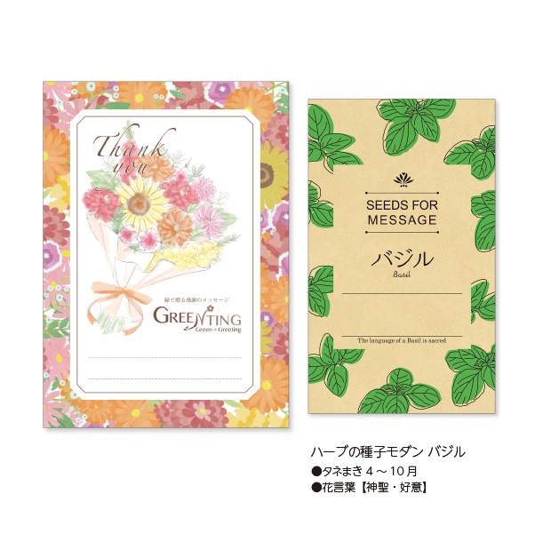 GREENTING ハーブの種子モダン