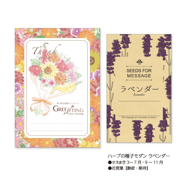 GREENTING ハーブの種子モダン
