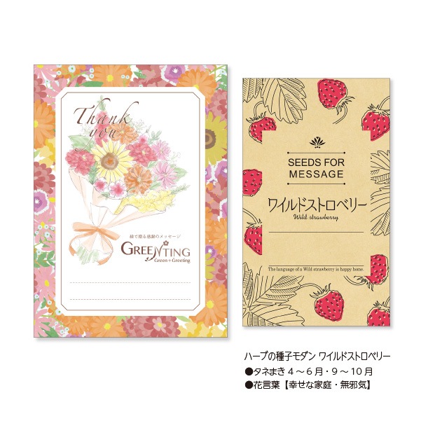 GREENTING ハーブの種子モダン