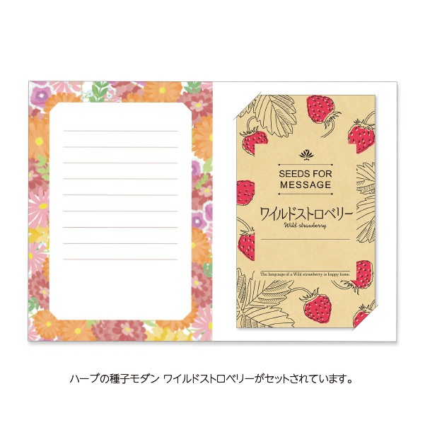 GREENTING ハーブの種子モダン