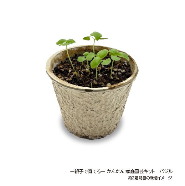 ー親子で育てるーかんたん！家庭園芸キット