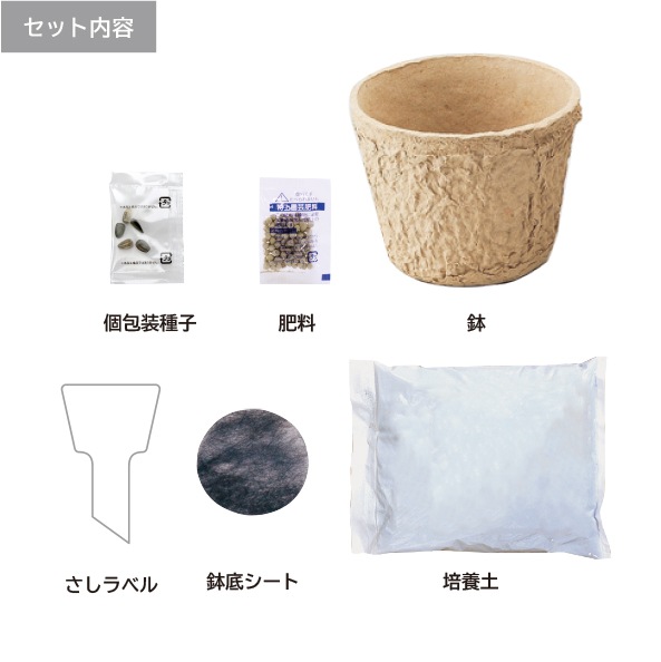 ー親子で育てるーかんたん！家庭園芸キット