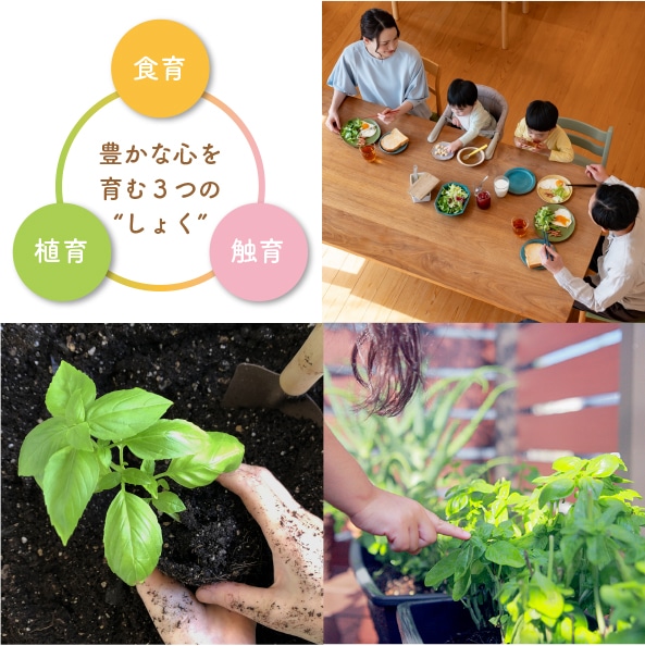 ー親子で育てるーかんたん！家庭園芸キット