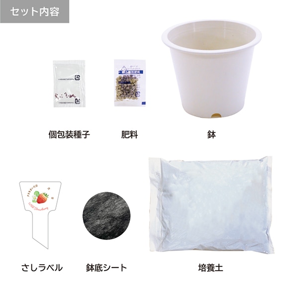 ワイルドストロベリー栽培キット