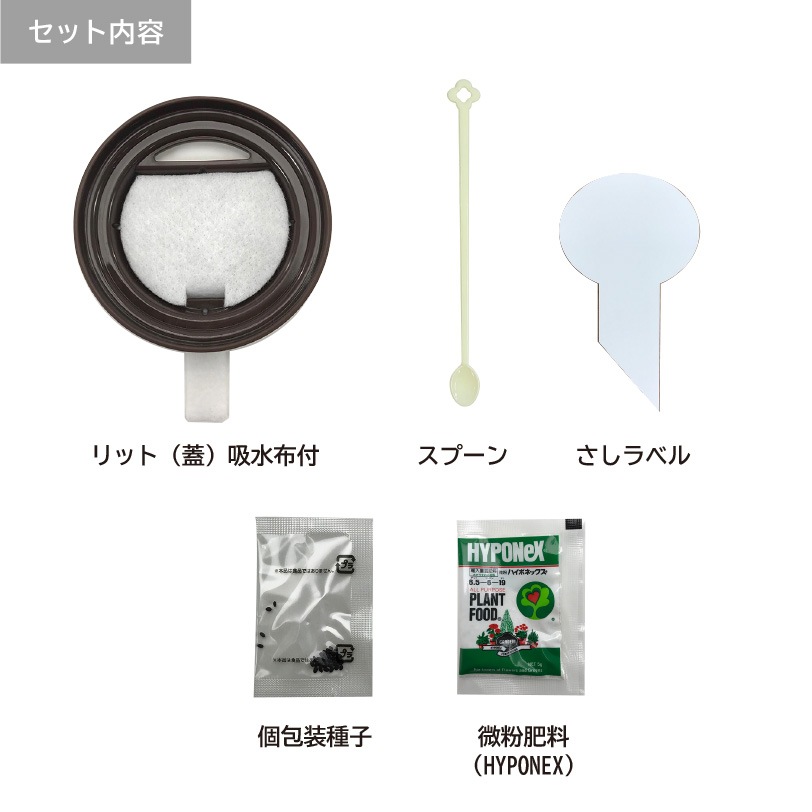 マグカップ水耕栽培キット　スイートバジル