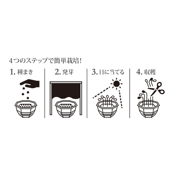 スプラウト栽培キットM