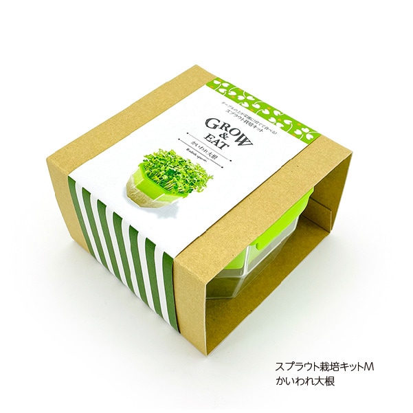 スプラウト栽培キットM