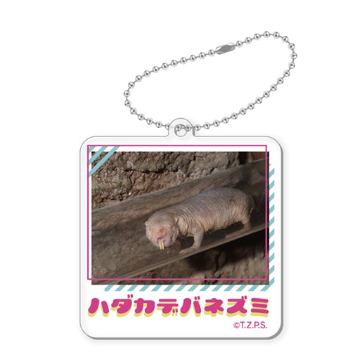 ハダカデバネズミ アクリルキーホルダー | アクリルキーホルダー