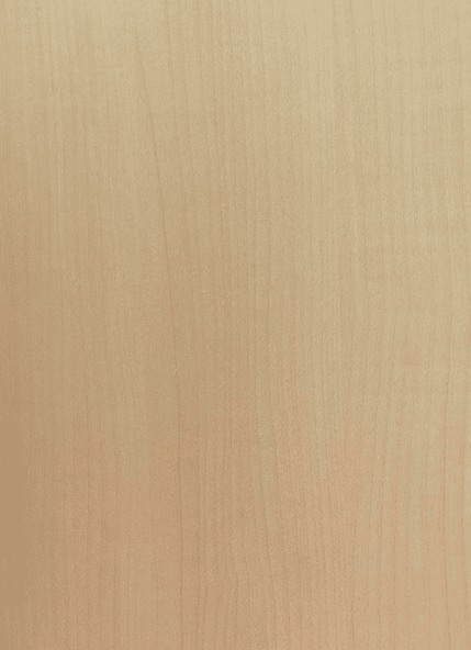 ˡ�����ܽ����ꡪ ���㡼�ץܡ��ɥ饤�ȡ�CM ���ꥢ���᡼�ץ�� 5.5mm�� 910x1820mm50�祻�å� �ץ�ߥ��ಽ�ѥ�����