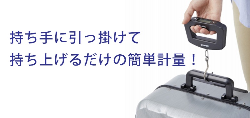 �ɥԥ��äȤϤ����ɥȥ�٥��Żҥ������롡�֥�å�������å��ݥ����о�