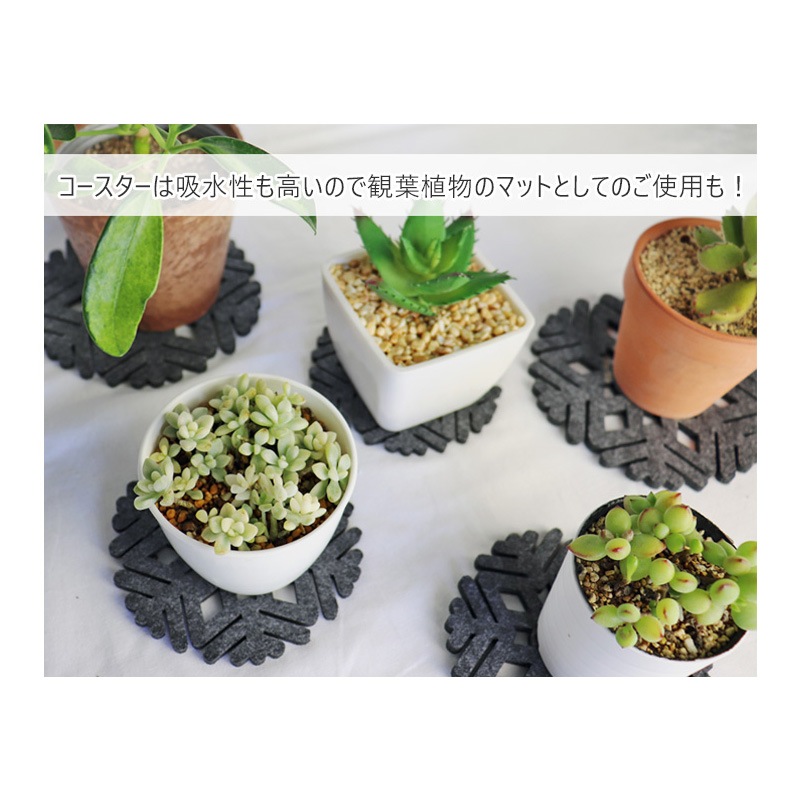 �����ȥ�å��� �߸˽�ʬ������ ��ȥȥʥ����Υե���ȥ��������� 12�� ���å� ����å��ݥ�������̵��