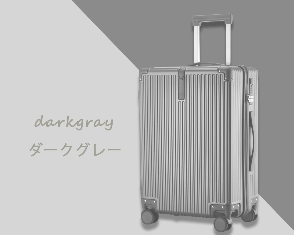 �ڷ��̡߹��ѵסۥ����ĥ�����  ����꡼������ �ե����ʡ������� NX-713 ¿��ǽ ���� �淿 M������ ������� ���� �ӥ��ͥ� ι��