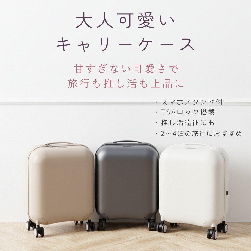 ι���륹������ �ޥ����󥹡��ĥ����� 2��4��  ���̡߹ⵡǽ ���ޥۥ�������դ� ��ͤ��襤�� �����ߥ��顼 ��ǯ�ݾڡ�����̵��