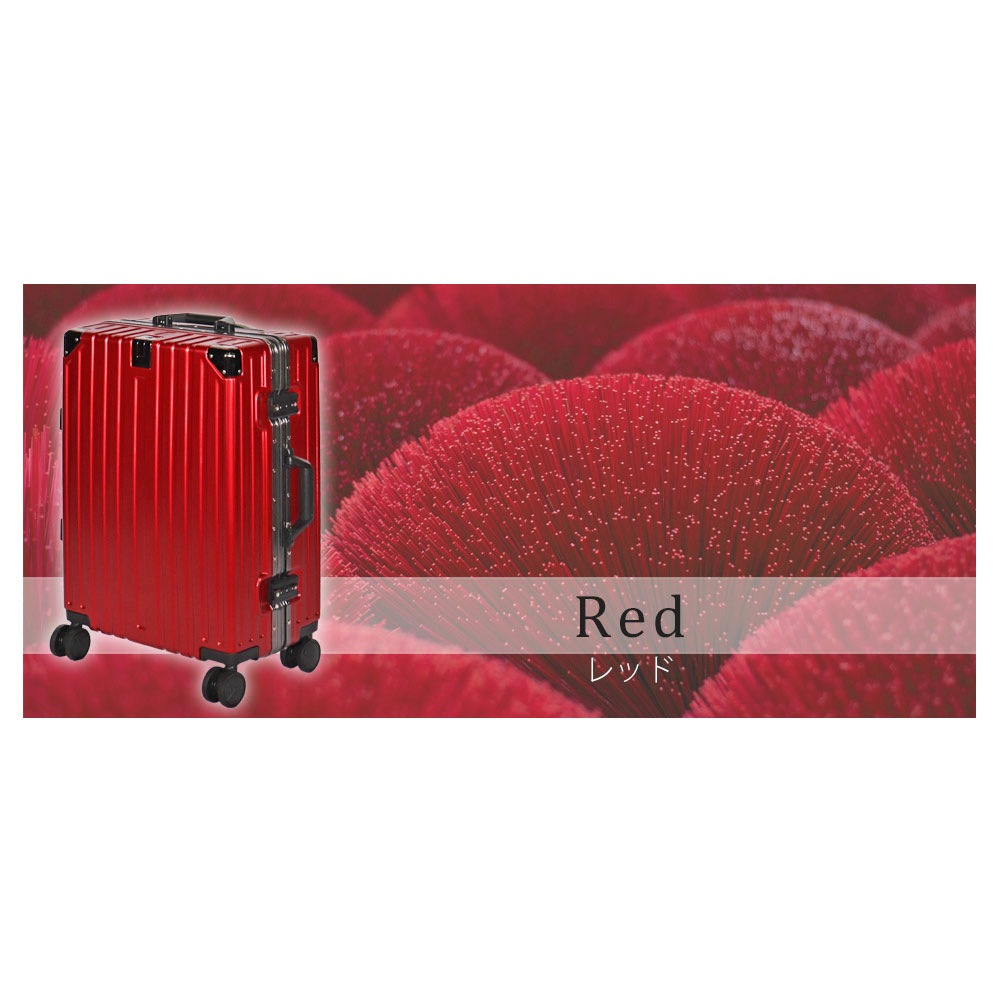 BALENO���ϡ��ɥ���꡼ �Х�Υϡ��� M������ �ϡ��ɥ����� ����̵��