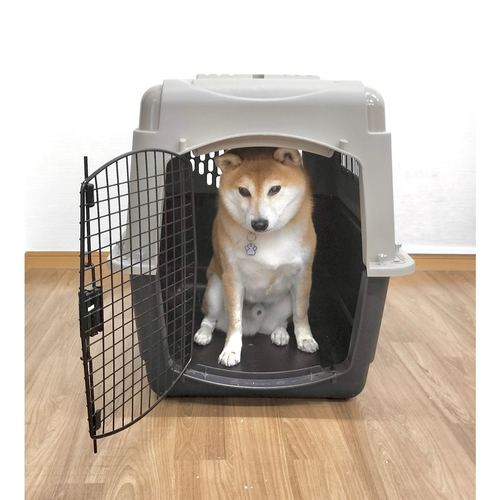 XL犬用 ペットメイト ウルトラバリケンネル P500 Petmate ウルトラバリケンネル XLサイズ | Dog,クレート